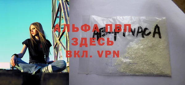 МДПВ Инсар