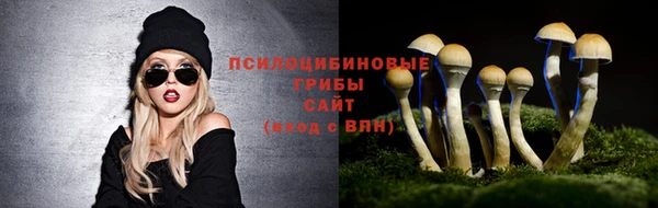 MDMA Premium VHQ Зеленодольск