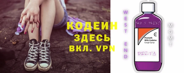 МДПВ Инсар
