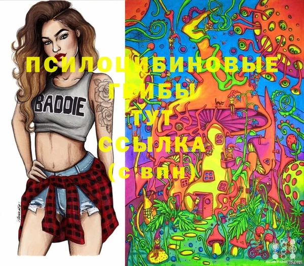 ECSTASY Инта