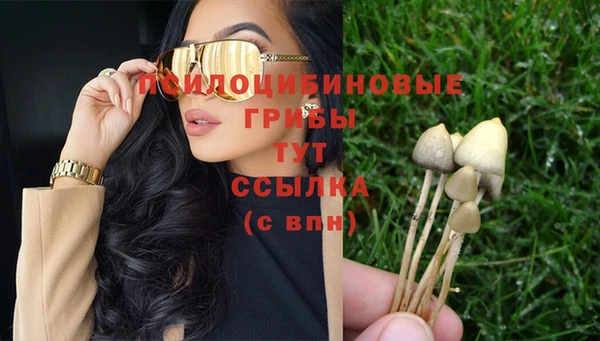 ECSTASY Инта