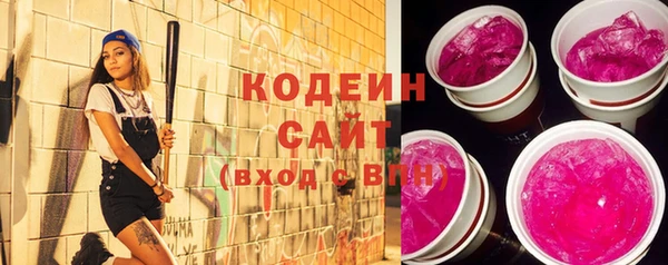 твердый Иннополис