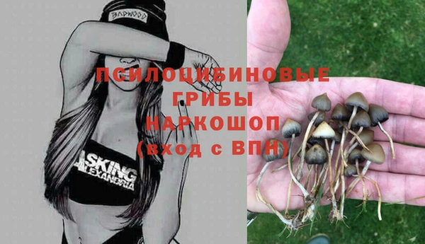 ECSTASY Инта