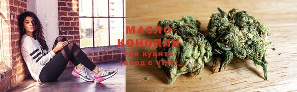 МДПВ Инсар