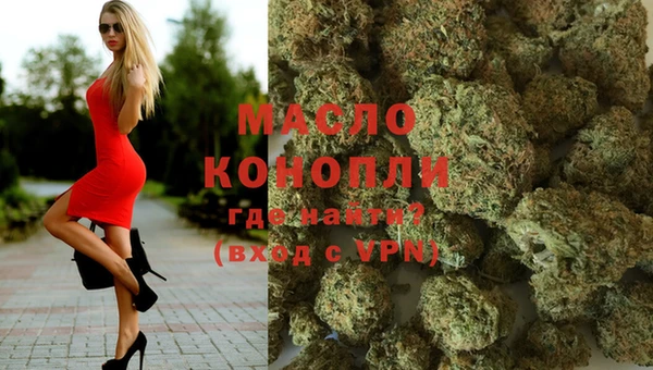 МДПВ Инсар