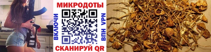 Купить где  Тихвин  Псилоцибиновые грибы ЛСД 